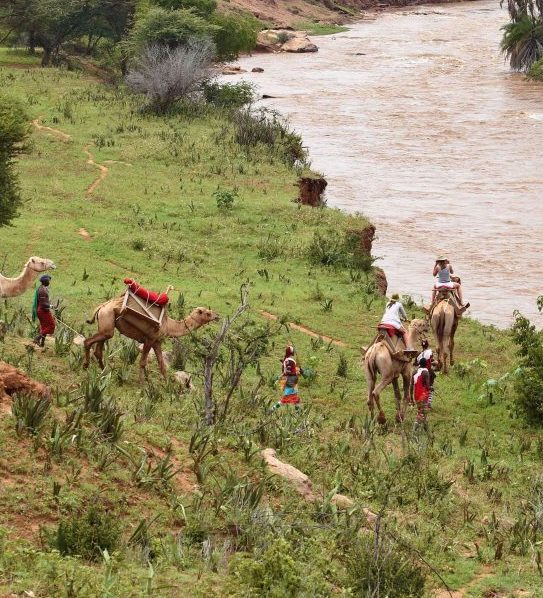 camel-safari-1024x611_Experiences-1